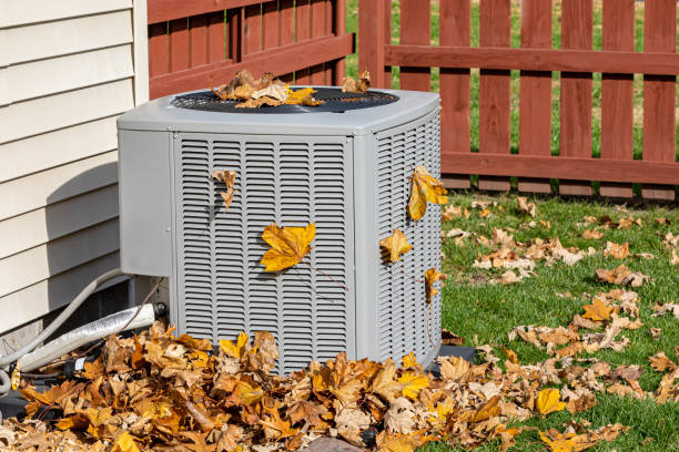 Best HVAC Air Duct Cleaning  in Dixon, IL